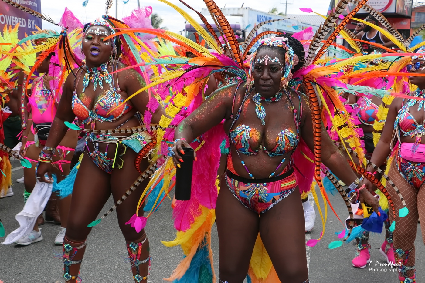 2023 Trinidad And Tobago Carnival Programme Kariculture