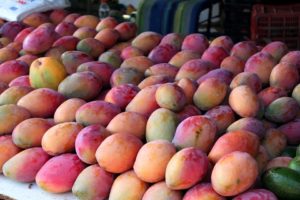 mangoes-354062_960_720